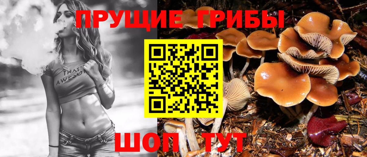 Галлюциногенные грибы Psilocybine cubensis Сухой Лог